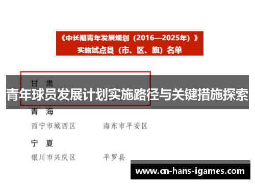青年球员发展计划实施路径与关键措施探索